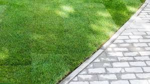 Healthy Lawns Start with Quality Grass Sod in Springfield Homes